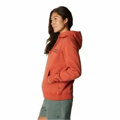 Mountain Hardwear Women's Desertscape Pullover Hoody -Mountain Hardwear Sales 10520901x1075218 vAlt4