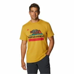 Mountain Hardwear Men's Hardwear Bear Flag SS Tee