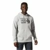Mountain Hardwear Men's MHW Logo Pullover Hoody -Mountain Hardwear Sales 10559940x1235974 zm